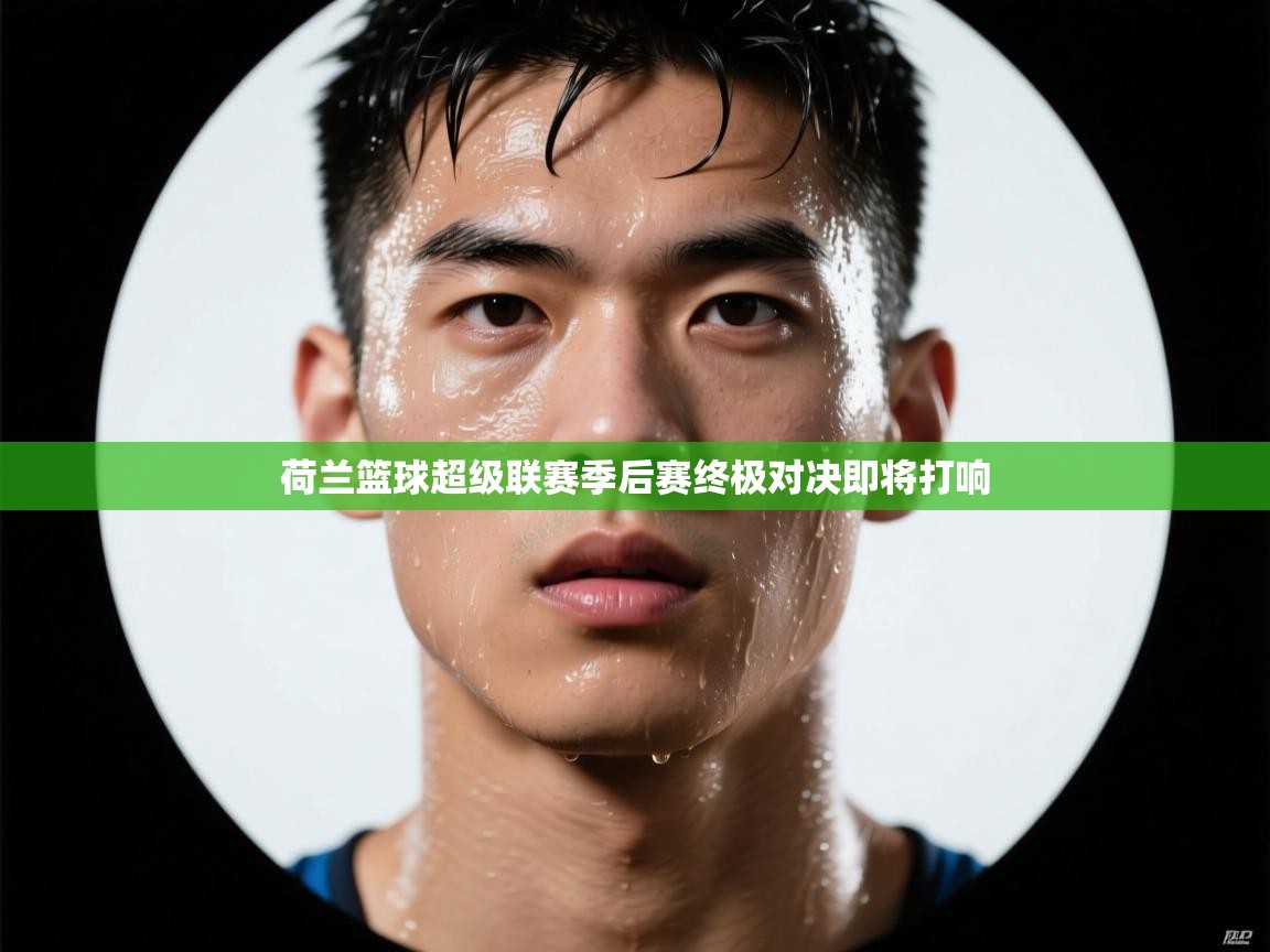 开云体育app官网-荷兰篮球超级联赛季后赛终极对决即将打响 第2张