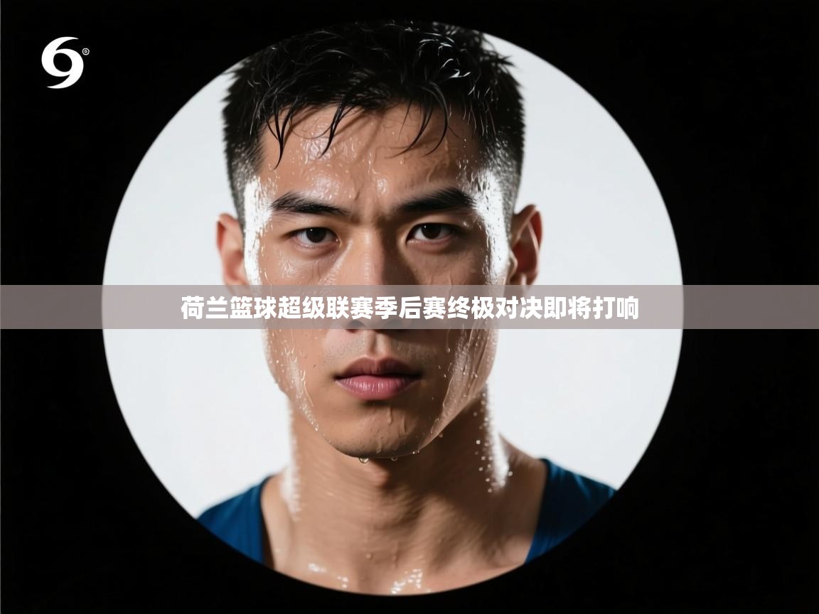 开云体育app官网-荷兰篮球超级联赛季后赛终极对决即将打响 第1张