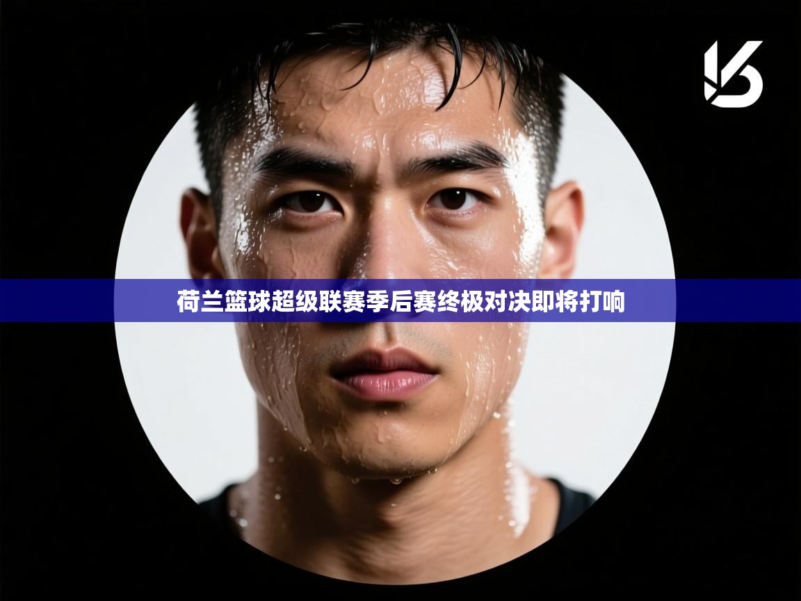 开云体育app官网-荷兰篮球超级联赛季后赛终极对决即将打响 第4张