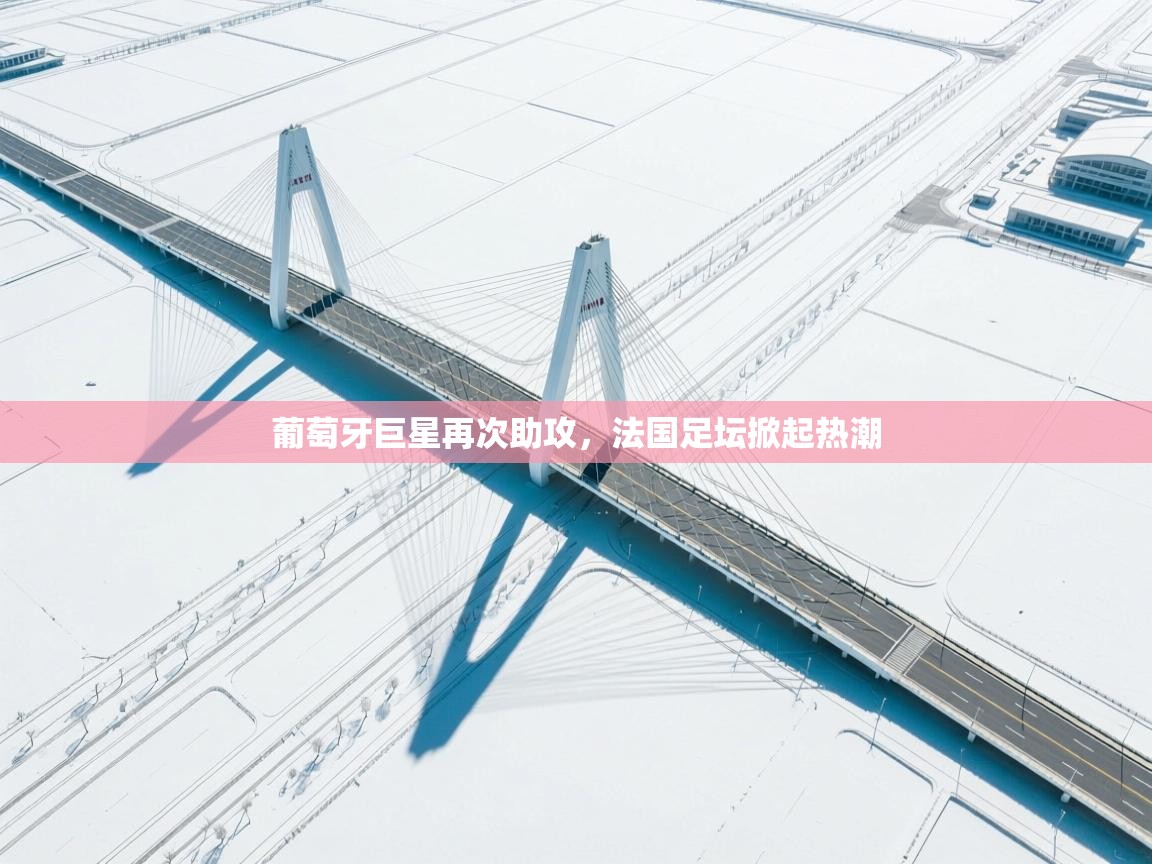 开云官网-葡萄牙巨星再次助攻,法国足坛掀起热潮 第3张