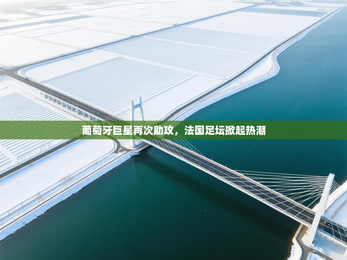 开云官网-葡萄牙巨星再次助攻,法国足坛掀起热潮 第4张