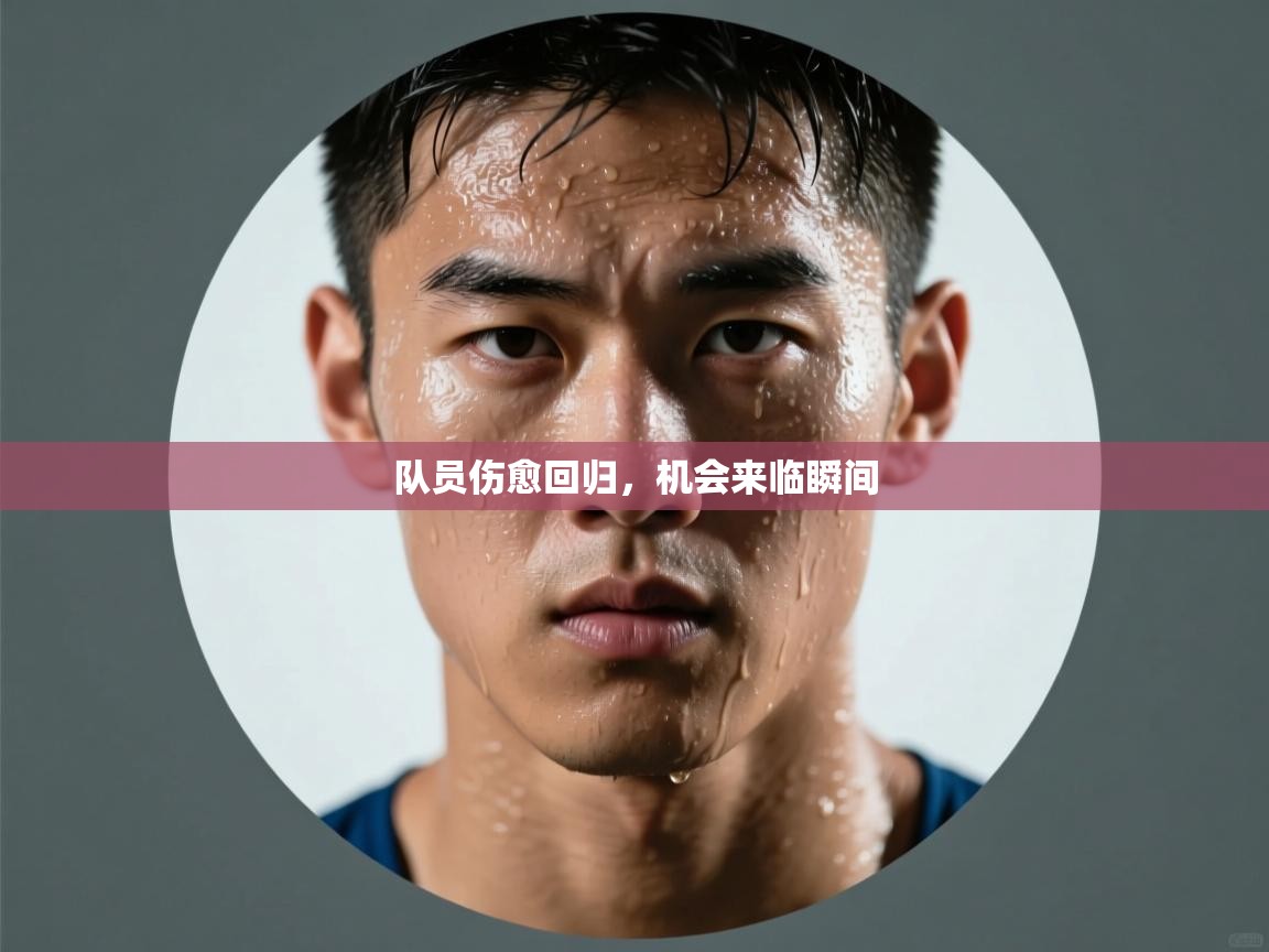 开云体育推送通知设置-队员伤愈回归,机会来临瞬间 第2张