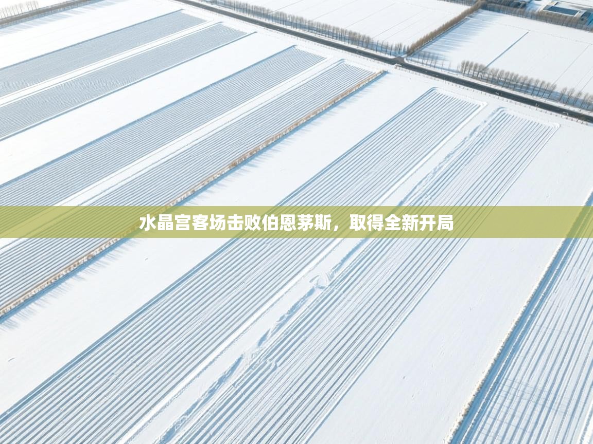 开云体育注册app-水晶宫客场击败伯恩茅斯,取得全新开局 第2张