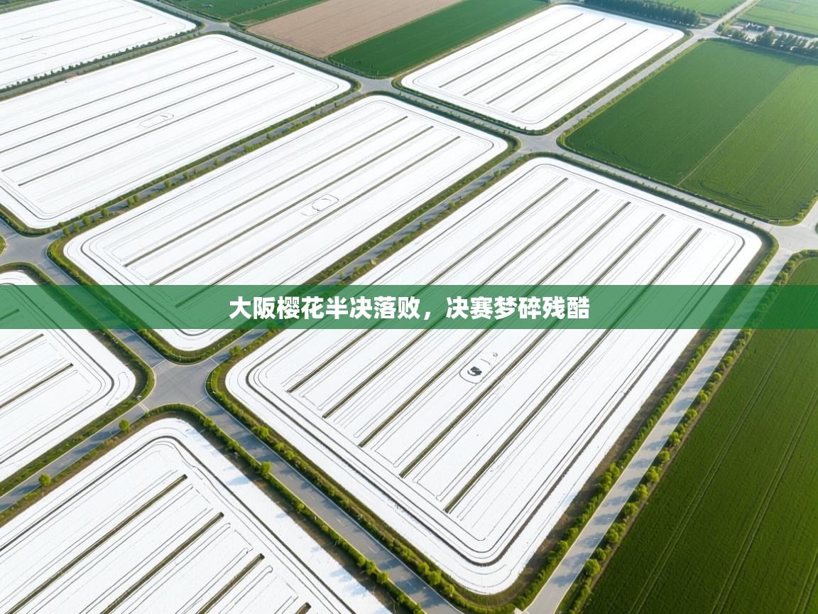 开云体育账号申诉通道-大阪樱花半决落败，决赛梦碎残酷