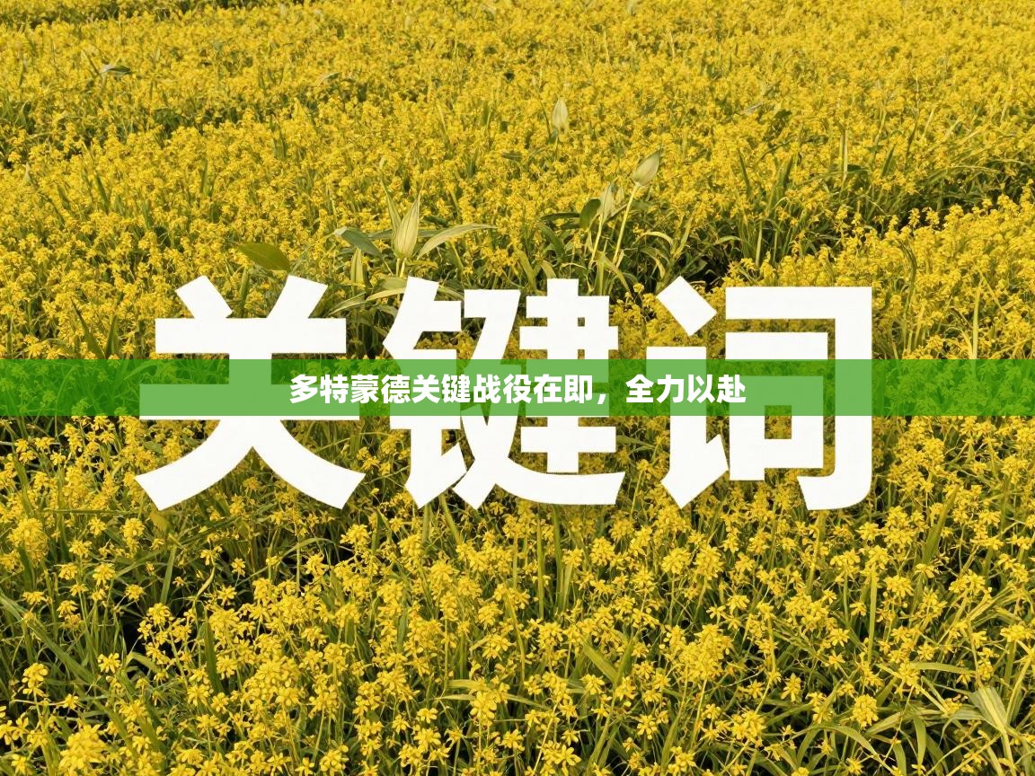 开运体育登录入口-多特蒙德关键战役在即,全力以赴 第2张